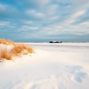 Snow-covered beach in Kitty Hawk with a beached whale